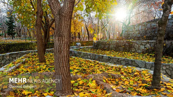 دمای هوای مشهد به ۳۱ درجه می رسد؛ هشدار هواشناسی درباره افزایش گرما