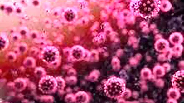 چند باور ‌اشتباه درباره ویروس کرونا 