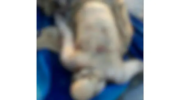 کشف جنازه متلاشی شده در بابلسر / جنازه چند ماه در آب بود + عکس