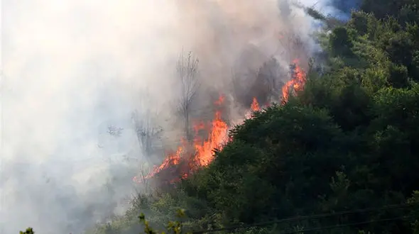ادامه آتش‌سوزی اراضی جنگلی جمهوری آذربایجان در مرز آستارا