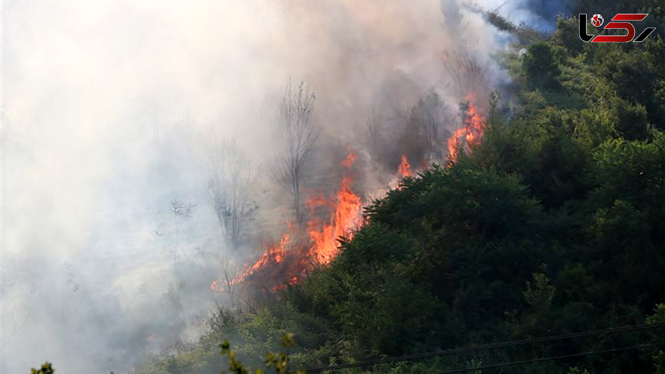 آتش سوزی در جنگل‌های سیاهکل / آماده باش کامل اورژانس 