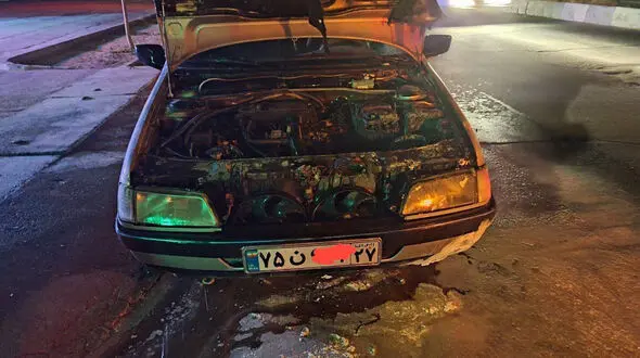 آتش گرفتن خودروی پژو و حضور سریع آتش نشانان در محل حادثه