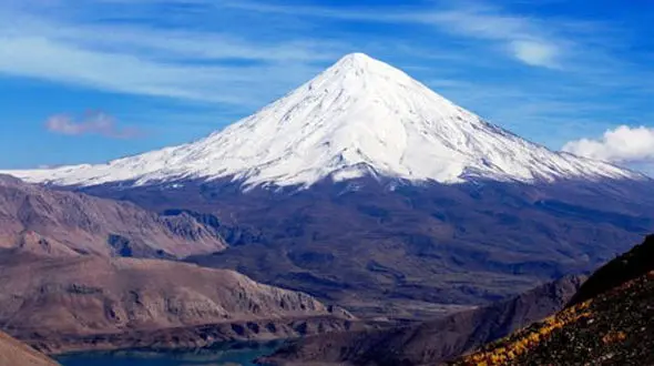 خطای تکراری؛ نماد ملی نیوزلند در انتخابات ایران+عکس