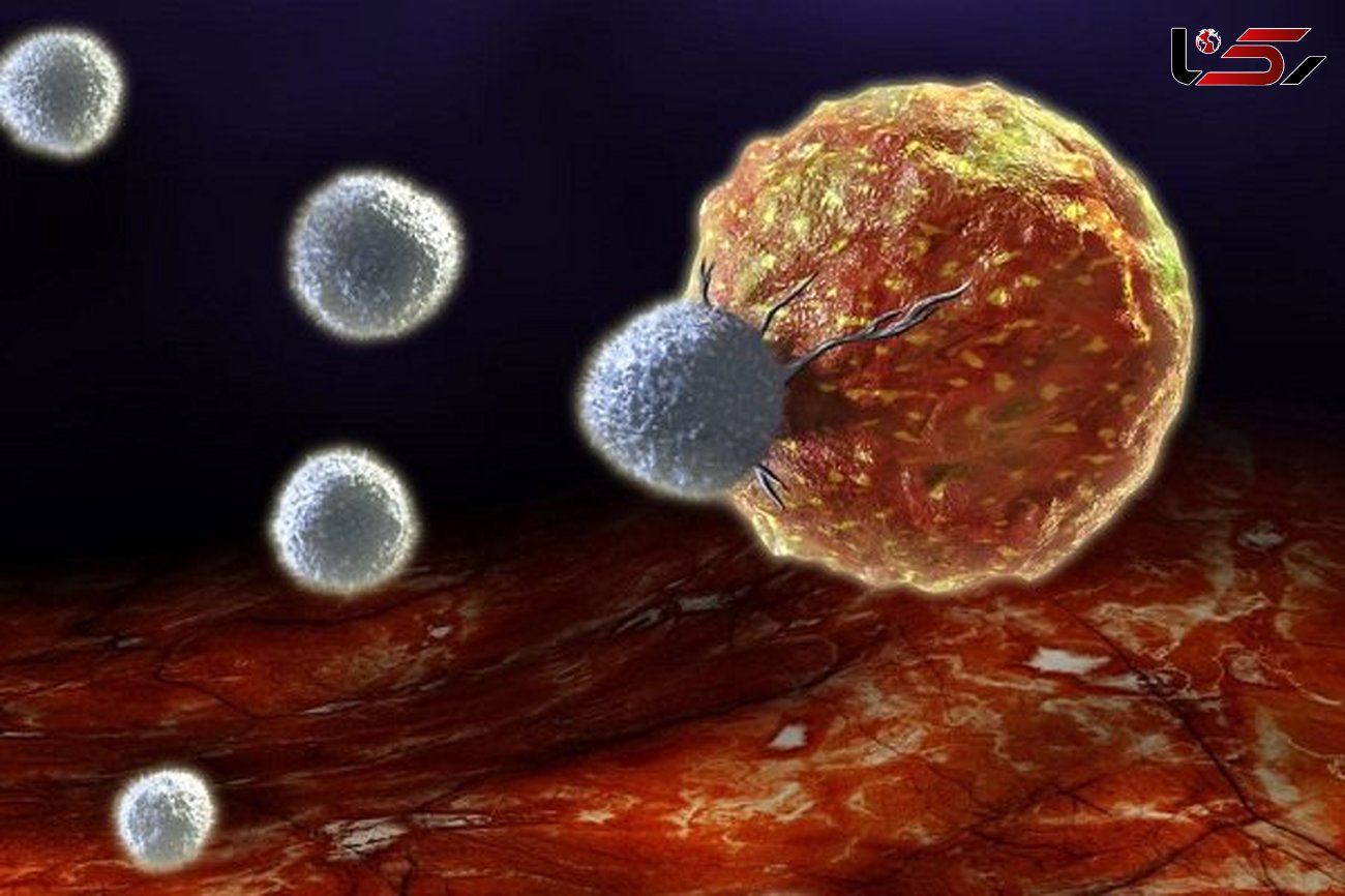 پروتئین ضد سرطان کشف شد/گامی نوین در درمان سرطان