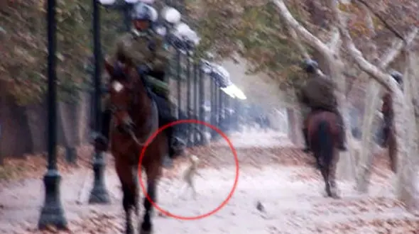 موجودی فضایی که سوژه کاربران شبکه های اجتماعی شد+تصاویر 