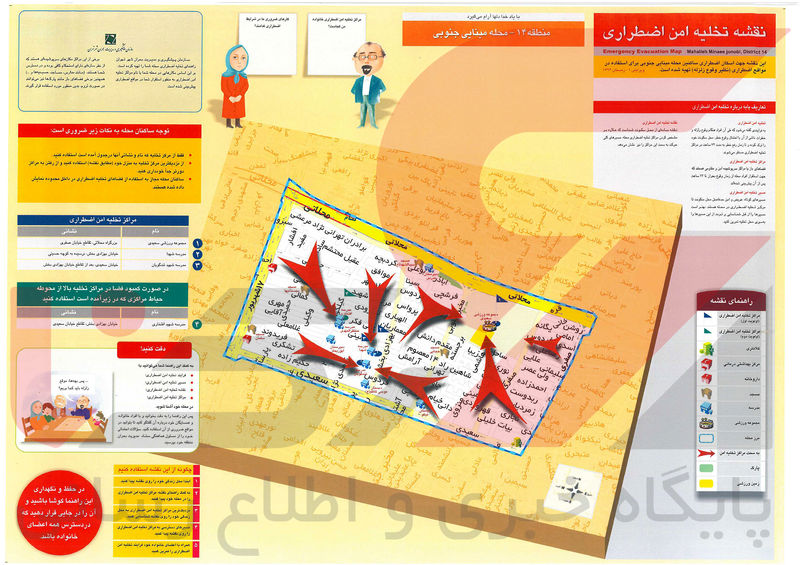 مینایی جنوبی