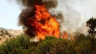 سه هکتار از مراتع جهرم در آتش سوخت