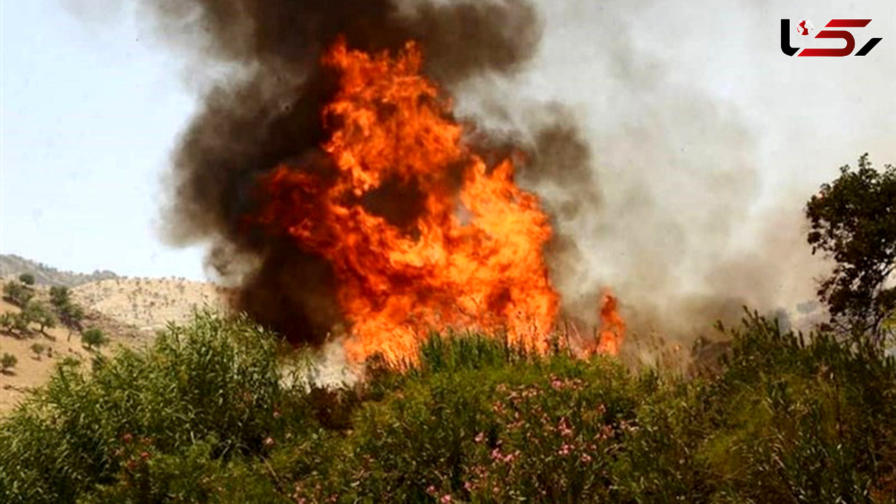 ۲۵ هکتار از مراتع و مزارع ایوان در آتش سوخت