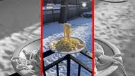 فیلم یخ زدن پاستا در سرمای شدید مینه سوتا