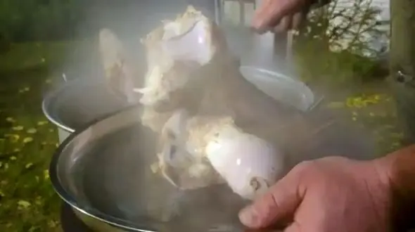 خاش قفقازی با پاچه گاو؛ تجربه‌ای متفاوت از غذاهای سنتی آذربایجان + فیلم