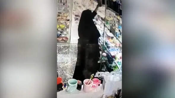 این زن را می شناسید ؟ او دزد پنجه طلایی است + فیلم