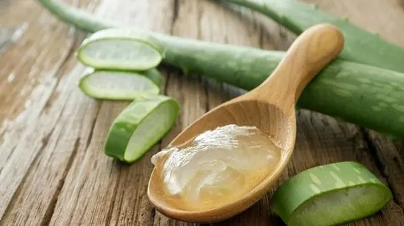 این گیاه سرشار از انسولین طبیعی است