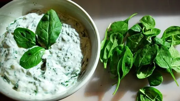 خوردن اسفناج با ماست مفید یا مضر؟