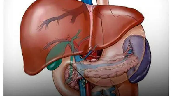 سردی بدن نشانه چه بیماری است؟
