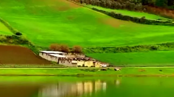 در این فصل از آب بندان شفیع آباد دیدن کنید + فیلم