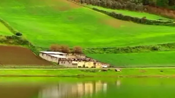 در این فصل از آب بندان شفیع آباد دیدن کنید + فیلم