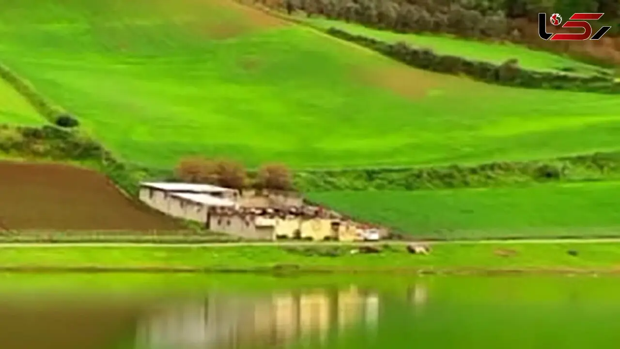 در این فصل از آب بندان شفیع آباد دیدن کنید + فیلم