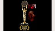 افتخار بین المللی رامین حسین‌پور برای ویدیوآرت «صورتگر» 