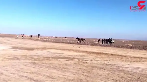 لحظه شاخ به شاخ شدن 2 اسب  در پیست سوارکاری گناباد / نفر اول سقوط کرد