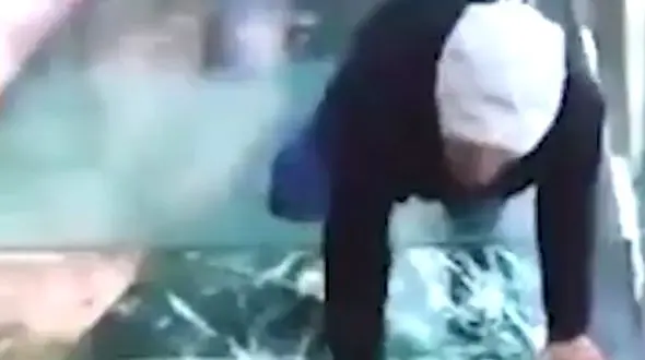 وحشتناکترین پل جهان را ببینید + فیلم