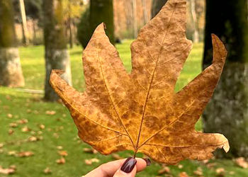 فال و طالع بینی روزانه 28 آبان + فیلم 