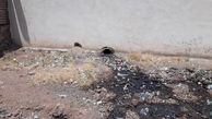 صدور اخطاریه به واحدهای آلاینده در شهرستان تاکستان