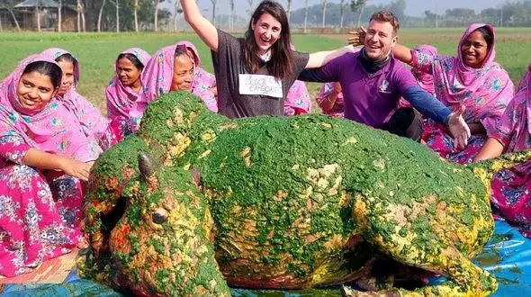 پخت گاو غول‌ پیکر 110 کیلوگرمی در بنگلادش / ضیافت 600 نفره + فیلم