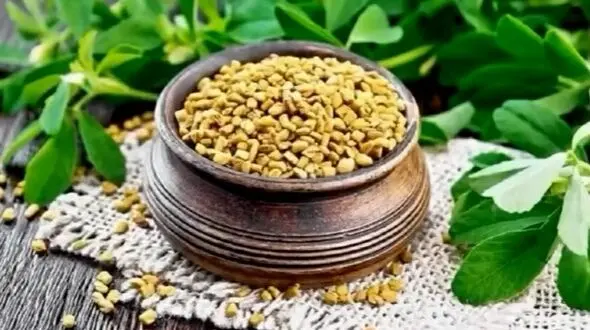 معجون خانگی برای کنترل قند خون و مهار دیابت / فیلم