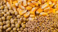 سقف ارزی واردات کالاهای اساسی مشخص شد / از ذرت و روغن تا گوشت و شکر