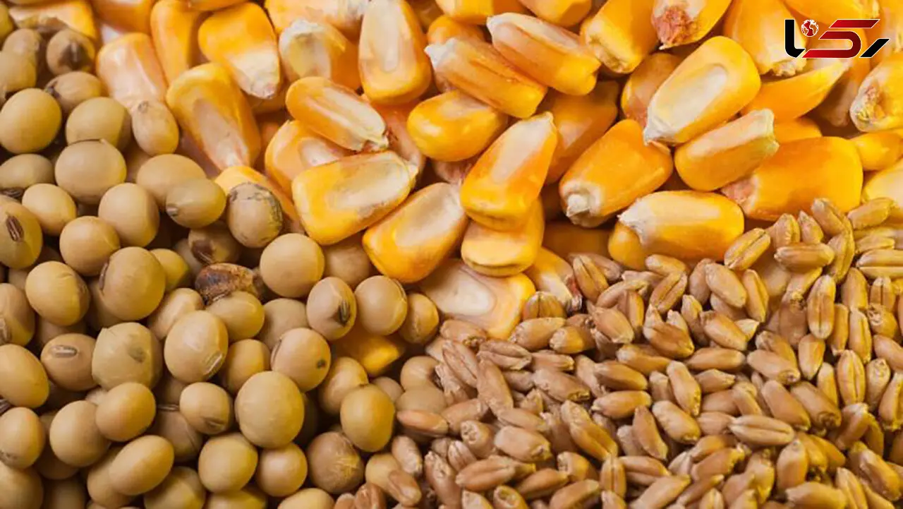 سقف ارزی واردات کالاهای اساسی مشخص شد / از ذرت و روغن تا گوشت و شکر