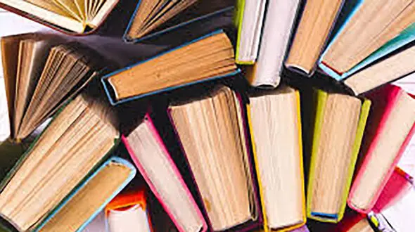 کتاب جنین نارس، نگاهی به  دغدغه جوانان