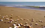 نماهنگ بی کلام آرامش بخش از گروه دیاتون + فیلم 