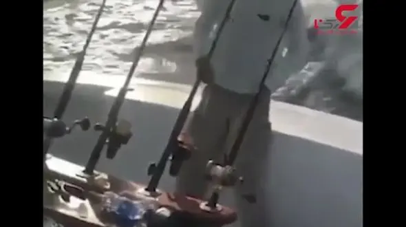 لحظه دلهره آور نجات غواص امریکایی پس از حمله مرگبار کوسه + فیلم 