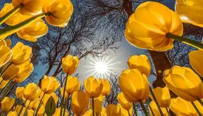 فال و طالع بینی امروز دوشنبه 4 اسفند 