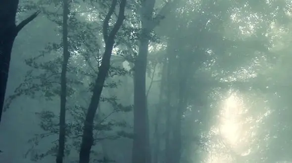 رهایی از هیاهو / سفر به دل طبیعت