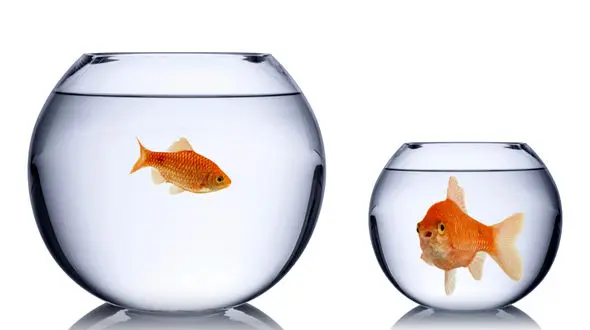 حسادت پرتگاه آرزوهای بزرگ و ایستگاه توقف اهداف در زندگی