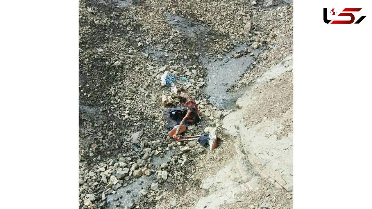 گرگ ها مرد کوهنورد را دریدند/اتفاق وحشتناکی که در کوهسار افتاد+عکس اسکلت برجای مانده