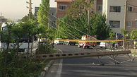 عکس تصادف شدید مینی بوس با تیر برق / در سعادت آباد تهران خیابان بسته شد 