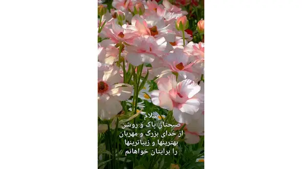 فال و طالع بینی روزانه 10 تیر + فیلم