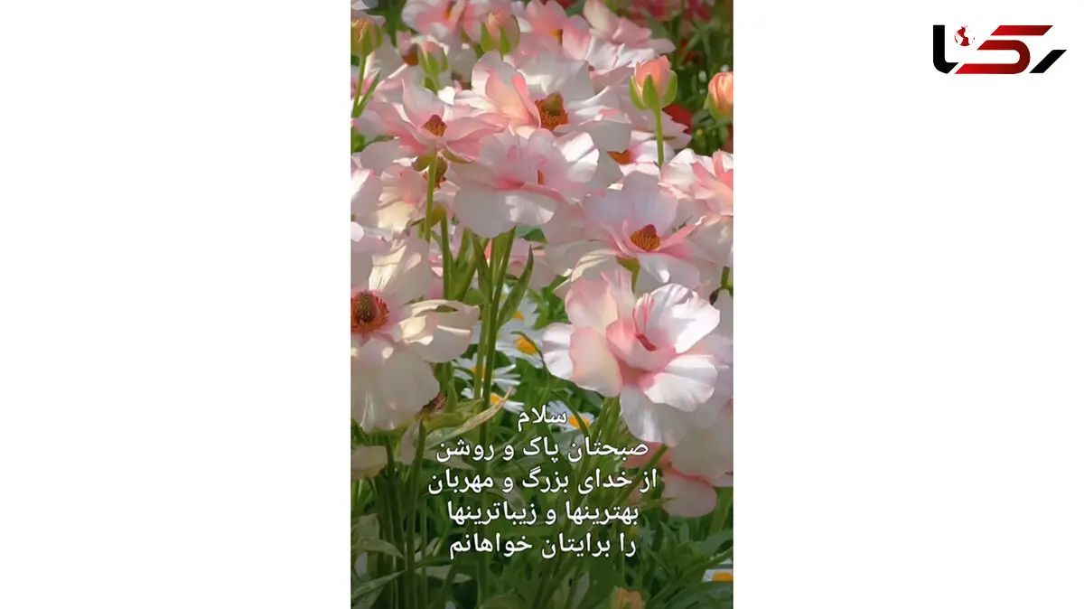 فال و طالع بینی روزانه 10 تیر + فیلم