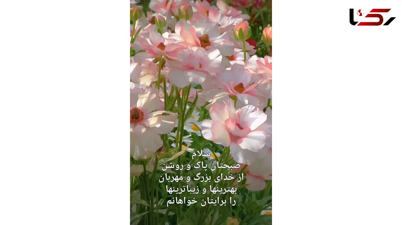 فال و طالع بینی روزانه 10 تیر + فیلم