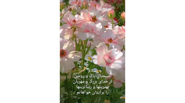 فال و طالع بینی روزانه 10 تیر + فیلم