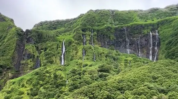 روز قشنگی را برای شما آرزو می کنم