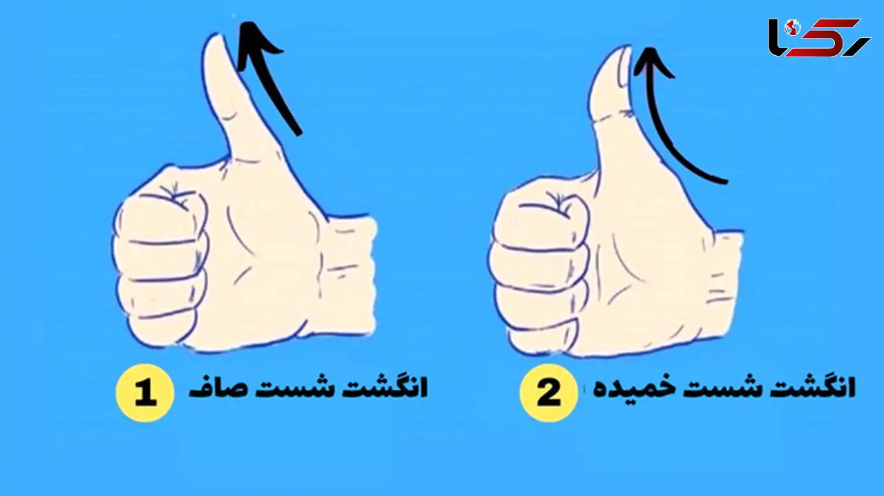 تست عجیب  /  طالع بینی  از روی شکل  انگشت شست ! / این ها وفادارند