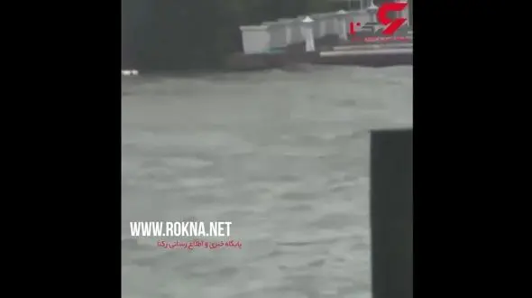 شنا کردن دلفین‌ها در خیابان های شهرهای کارولینای شمالی + فیلم