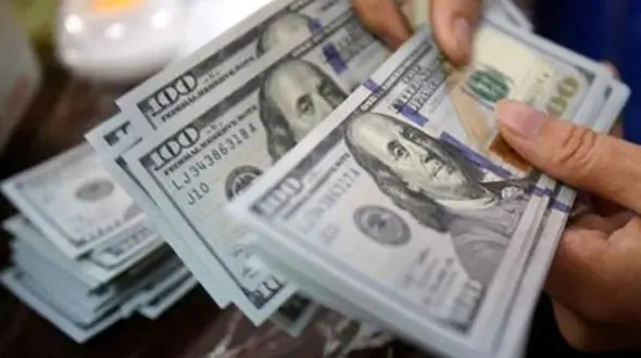 جاسازی ۳۱ هزار دلار در چمدان مسافر خارجی در شیراز + جزییات