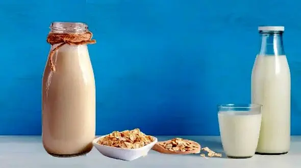 مقایسه شیر جو دوسر با شیر گاو؛ کدام برای سلامتی بهتر است؟