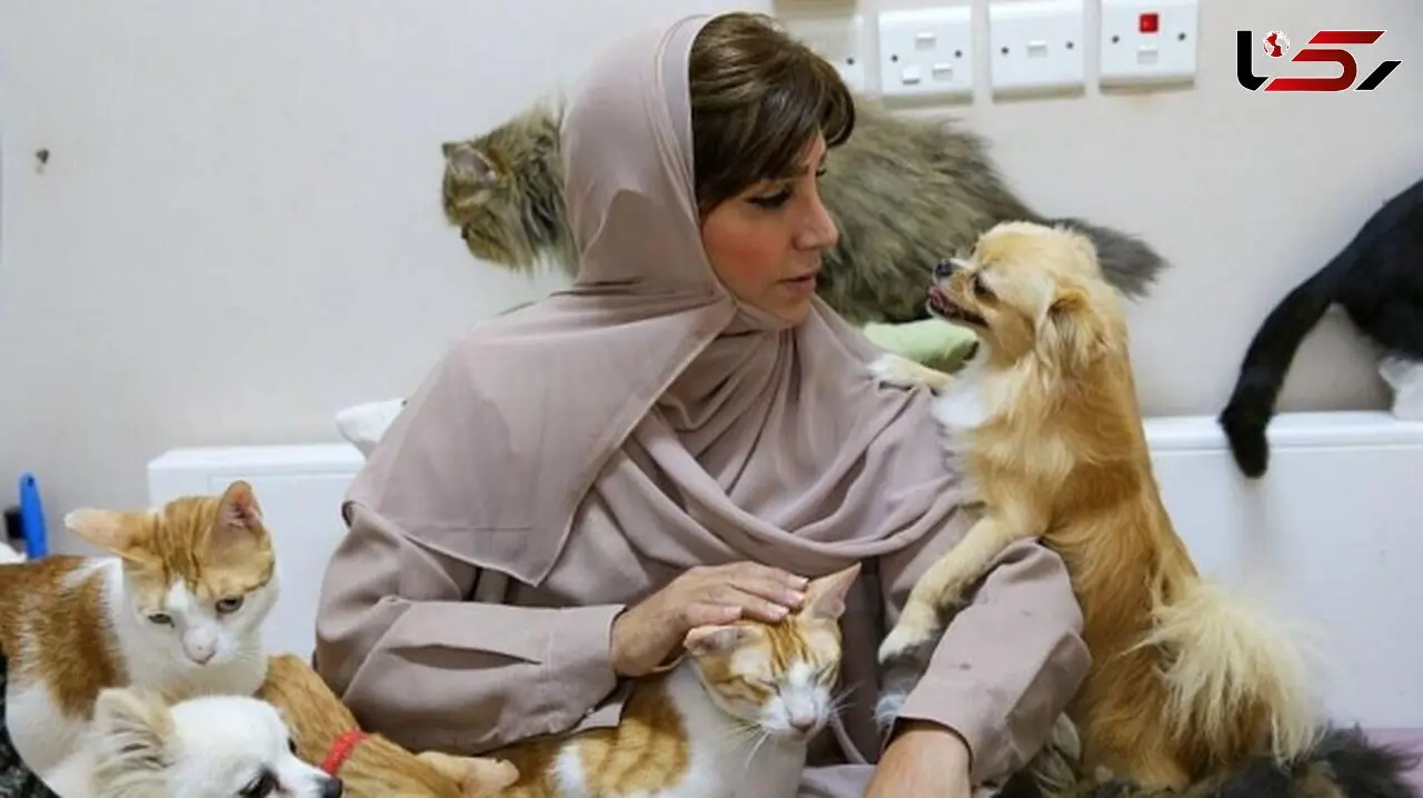 مریم البلوشی؛ زنی که ۵۰۰ سگ و گربه دارد و ماهانه ۷۰۰ میلیون تومان هزینه آنها می‌کند