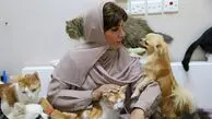 عجیب اما واقعی / مریم خانم زیباترین زن در جهان / این زن ماهیانه یک میلیارد و 300 میلیون تومان  برای   ۵۰۰ سگ و گربه در خانه اش هزینه می کند + عکس ها و گفتگو