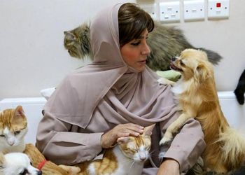 مریم البلوشی؛ زنی که ۵۰۰ سگ و گربه دارد و ماهانه ۷۰۰ میلیون تومان هزینه آنها می‌کند